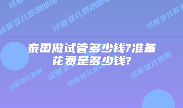 泰国做试管多少钱?准备花费是多少钱?