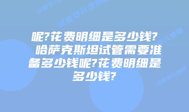呢?花费明细是多少钱? 哈萨克斯坦试管需要准备多少钱呢?花费明细是多少钱?