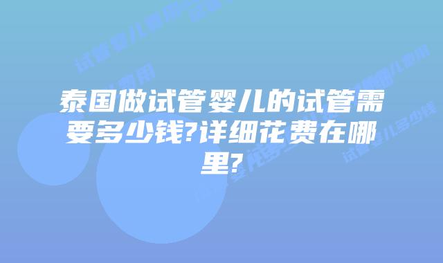 泰国做试管婴儿的试管需要多少钱?详细花费在哪里?