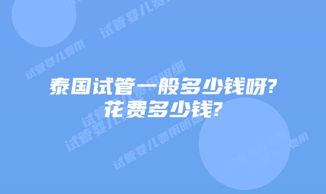 泰国试管一般多少钱呀?花费多少钱?