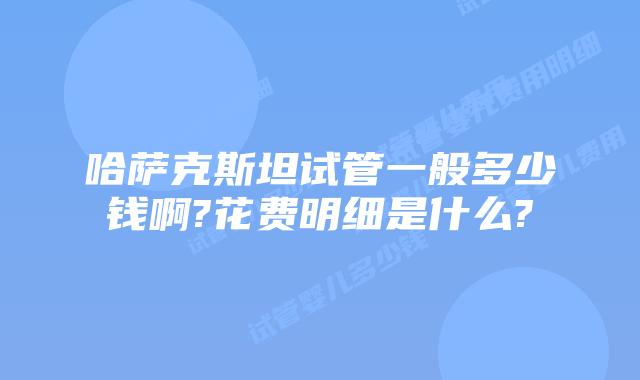 哈萨克斯坦试管一般多少钱啊?花费明细是什么?