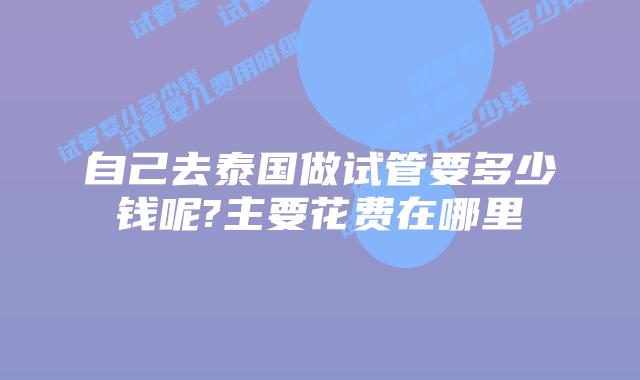 自己去泰国做试管要多少钱呢?主要花费在哪里