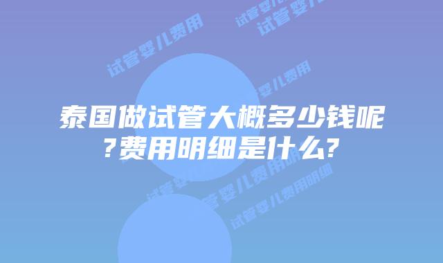 泰国做试管大概多少钱呢?费用明细是什么?