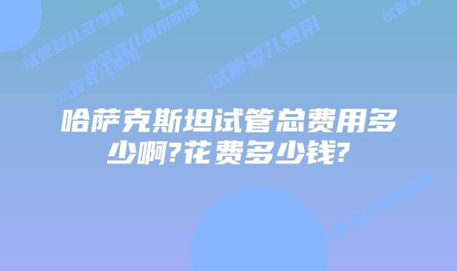 哈萨克斯坦试管总费用多少啊?花费多少钱?