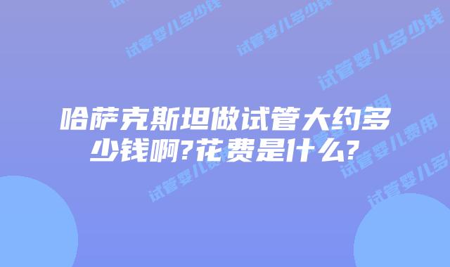 哈萨克斯坦做试管大约多少钱啊?花费是什么?