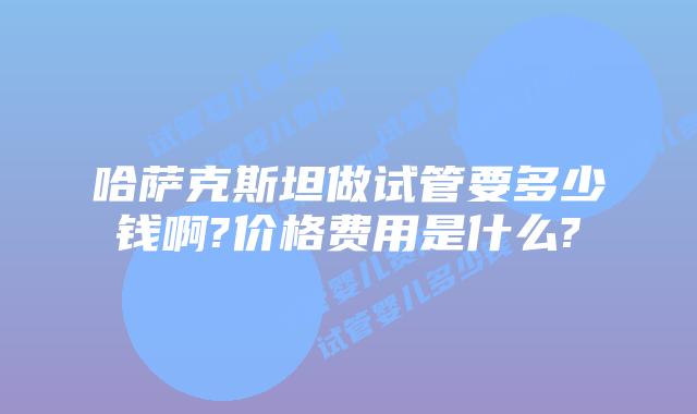 哈萨克斯坦做试管要多少钱啊?价格费用是什么?