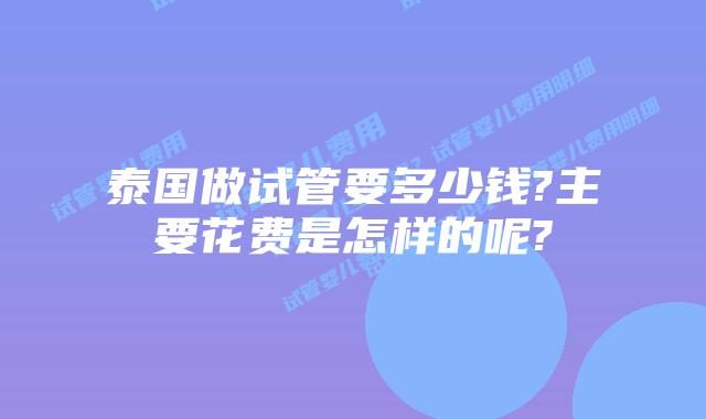 泰国做试管要多少钱?主要花费是怎样的呢?