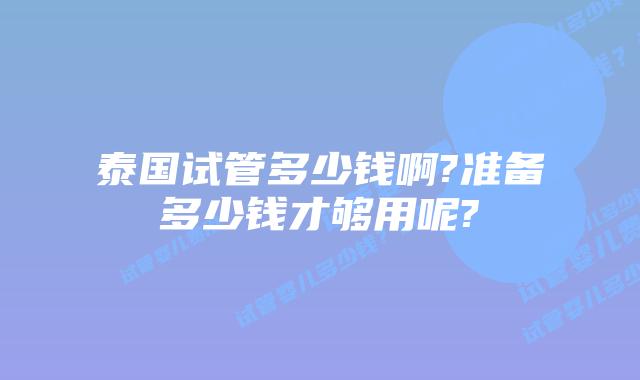 泰国试管多少钱啊?准备多少钱才够用呢?