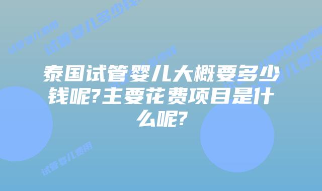 泰国试管婴儿大概要多少钱呢?主要花费项目是什么呢?