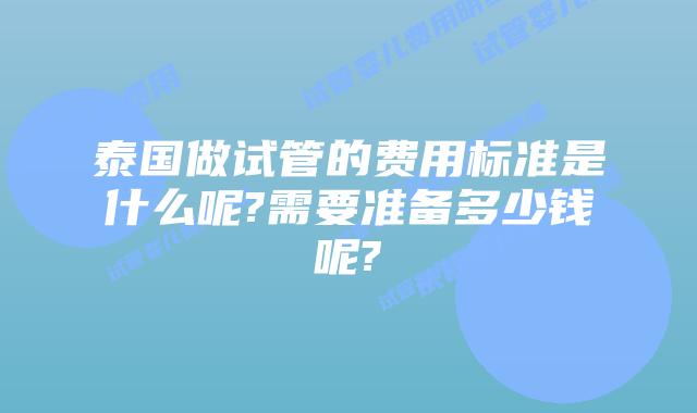 泰国做试管的费用标准是什么呢?需要准备多少钱呢?