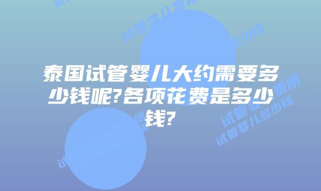 泰国试管婴儿大约需要多少钱呢?各项花费是多少钱?