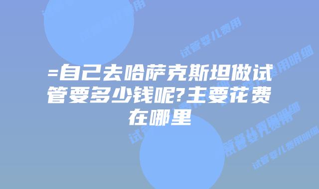 =自己去哈萨克斯坦做试管要多少钱呢?主要花费在哪里
