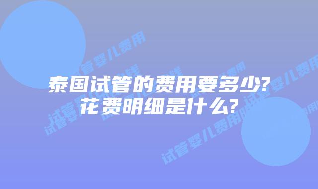 泰国试管的费用要多少?花费明细是什么?