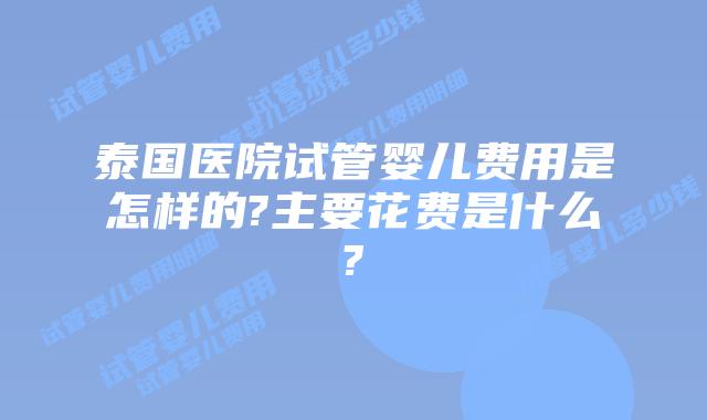 泰国医院试管婴儿费用是怎样的?主要花费是什么?