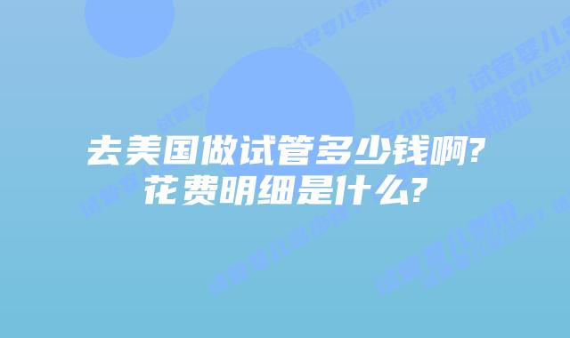 去美国做试管多少钱啊?花费明细是什么?