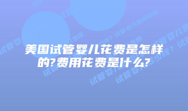 美国试管婴儿花费是怎样的?费用花费是什么?