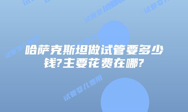 哈萨克斯坦做试管要多少钱?主要花费在哪?