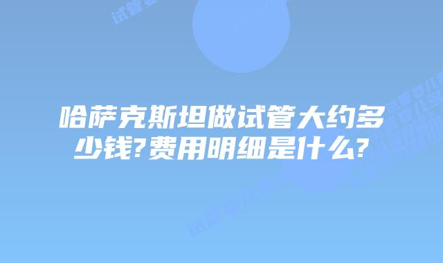 哈萨克斯坦做试管大约多少钱?费用明细是什么?