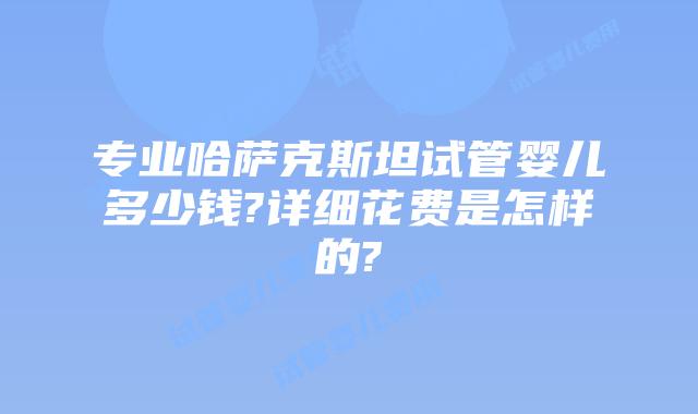 专业哈萨克斯坦试管婴儿多少钱?详细花费是怎样的?