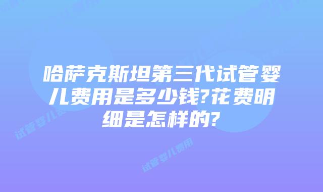 哈萨克斯坦第三代试管婴儿费用是多少钱?花费明细是怎样的?