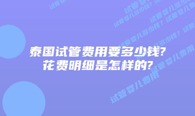 泰国试管费用要多少钱?花费明细是怎样的?