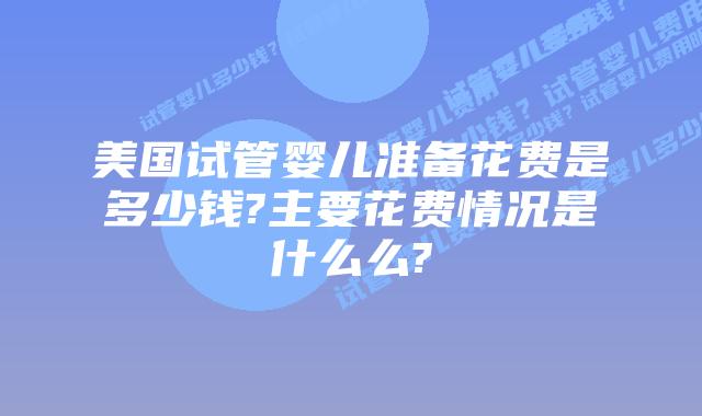 美国试管婴儿准备花费是多少钱?主要花费情况是什么么?