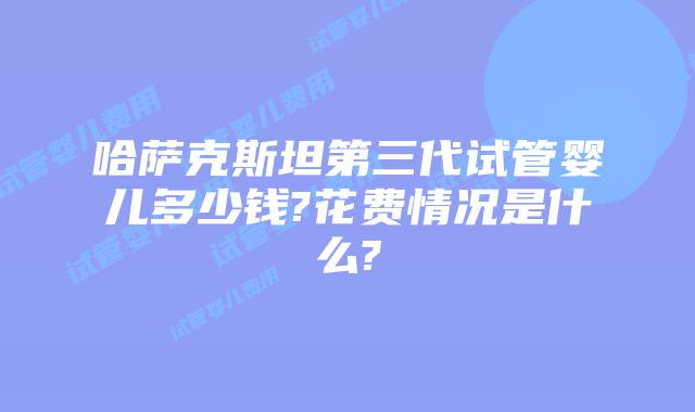 哈萨克斯坦第三代试管婴儿多少钱?花费情况是什么?