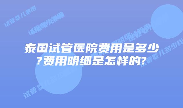 泰国试管医院费用是多少?费用明细是怎样的?