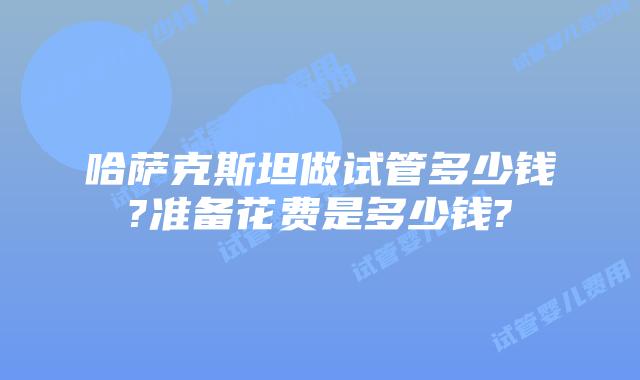 哈萨克斯坦做试管多少钱?准备花费是多少钱?