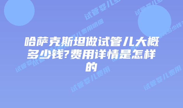 哈萨克斯坦做试管儿大概多少钱?费用详情是怎样的