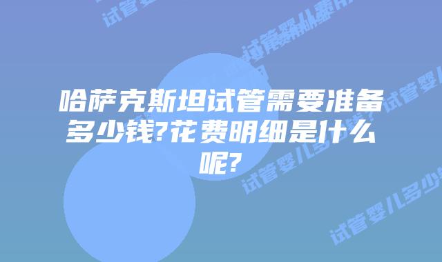 哈萨克斯坦试管需要准备多少钱?花费明细是什么呢?