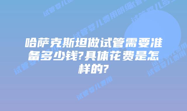 哈萨克斯坦做试管需要准备多少钱?具体花费是怎样的?