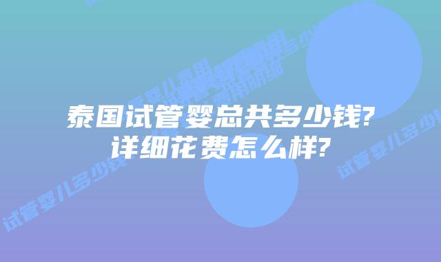 泰国试管婴总共多少钱?详细花费怎么样?