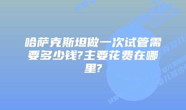 哈萨克斯坦做一次试管需要多少钱?主要花费在哪里?