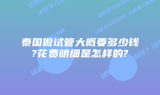 泰国做试管大概要多少钱?花费明细是怎样的?
