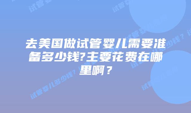 去美国做试管婴儿需要准备多少钱?主要花费在哪里啊？