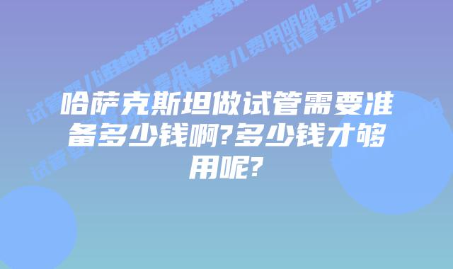 哈萨克斯坦做试管需要准备多少钱啊?多少钱才够用呢?