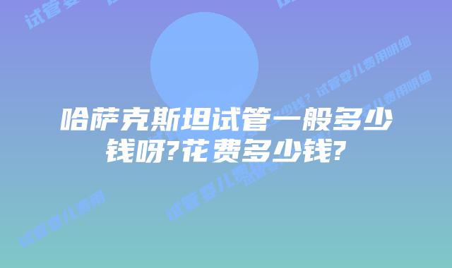 哈萨克斯坦试管一般多少钱呀?花费多少钱?