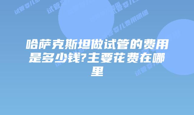 哈萨克斯坦做试管的费用是多少钱?主要花费在哪里