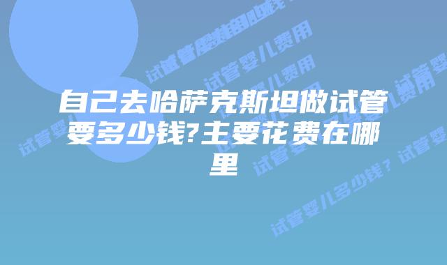 自己去哈萨克斯坦做试管要多少钱?主要花费在哪里