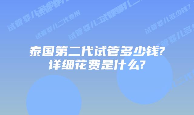 泰国第二代试管多少钱?详细花费是什么?