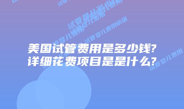 美国试管费用是多少钱?详细花费项目是是什么?