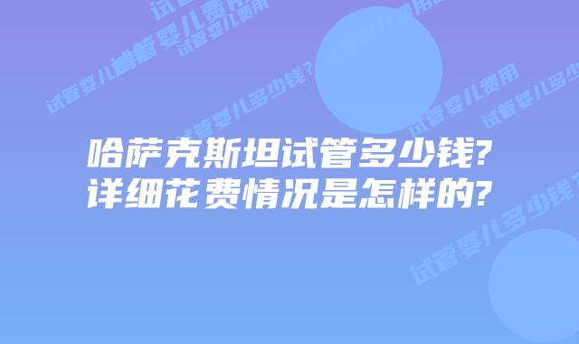 哈萨克斯坦试管多少钱?详细花费情况是怎样的?