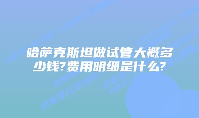 哈萨克斯坦做试管大概多少钱?费用明细是什么?