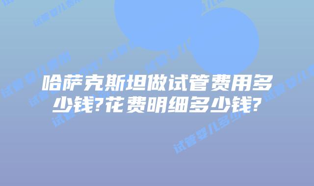 哈萨克斯坦做试管费用多少钱?花费明细多少钱?