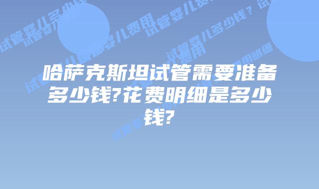 哈萨克斯坦试管需要准备多少钱?花费明细是多少钱?