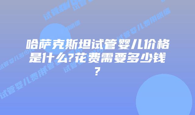 哈萨克斯坦试管婴儿价格是什么?花费需要多少钱?