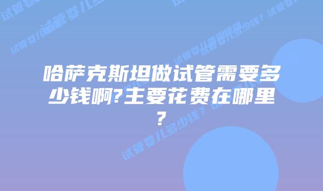 哈萨克斯坦做试管需要多少钱啊?主要花费在哪里?