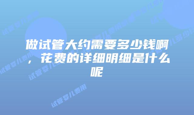 做试管大约需要多少钱啊,花费的详细明细是什么呢