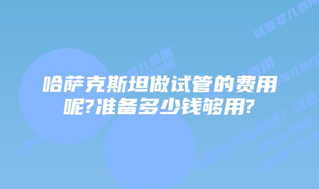 哈萨克斯坦做试管的费用呢?准备多少钱够用?